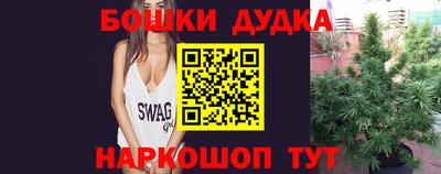 молекула духа Новозыбков