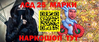 молекула духа Новозыбков