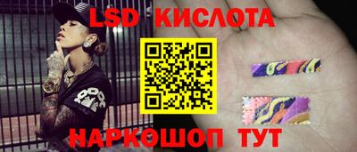 молекула духа Новозыбков