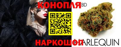 герыч Новодвинск