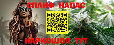 молекула духа Новозыбков