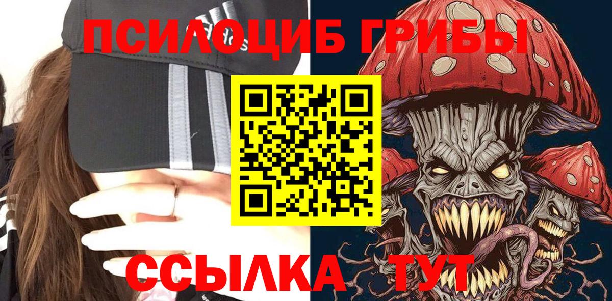 Псилоцибиновые грибы Psilocybe Азнакаево